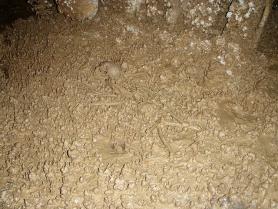 Atapuerca - archeologické naleziště