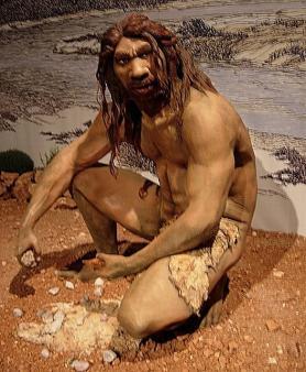 Atapuerca - Homo sapiens heidelbergensis