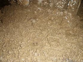 Atapuerca - archeologické naleziště